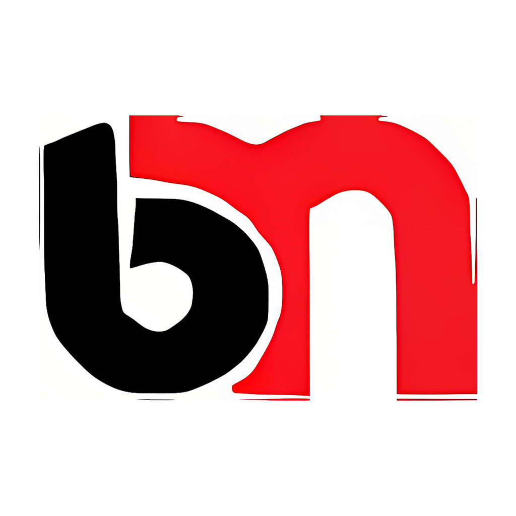 BESTMINING LLC (БЕСТМАЙНИНГ)