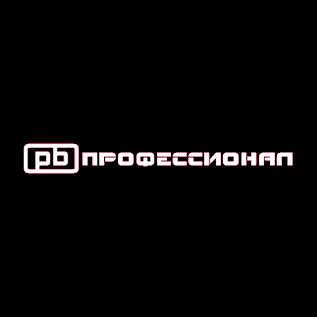 PROFESSIONAL LLC (ПРОФЕССИОНАЛ)