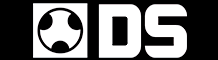 Zhengzhou Dingsheng Advanced Engineering Technology Co., Ltd. 