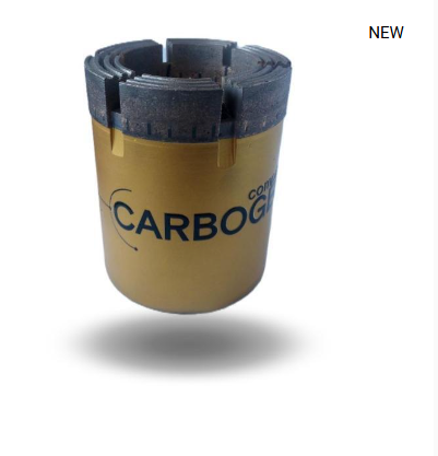 Drill bit with reinforced die
