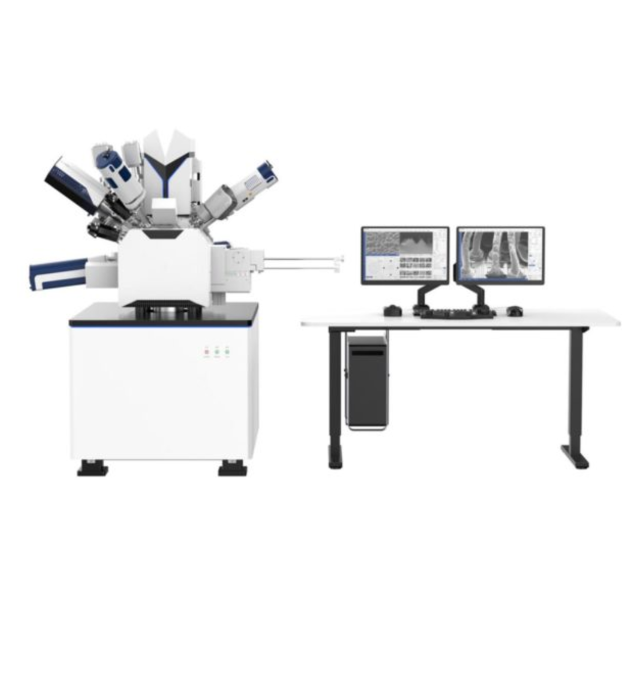 Scanning Electron Microscopy