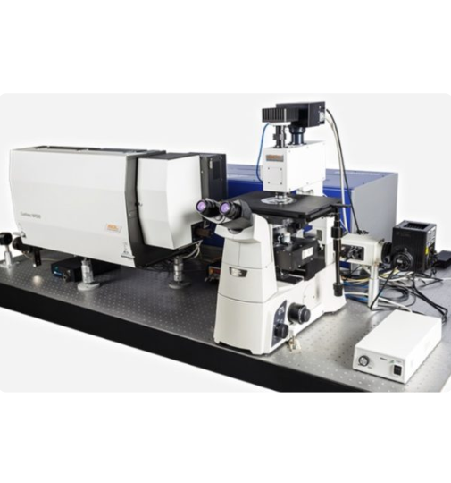 Raman Spectrometers