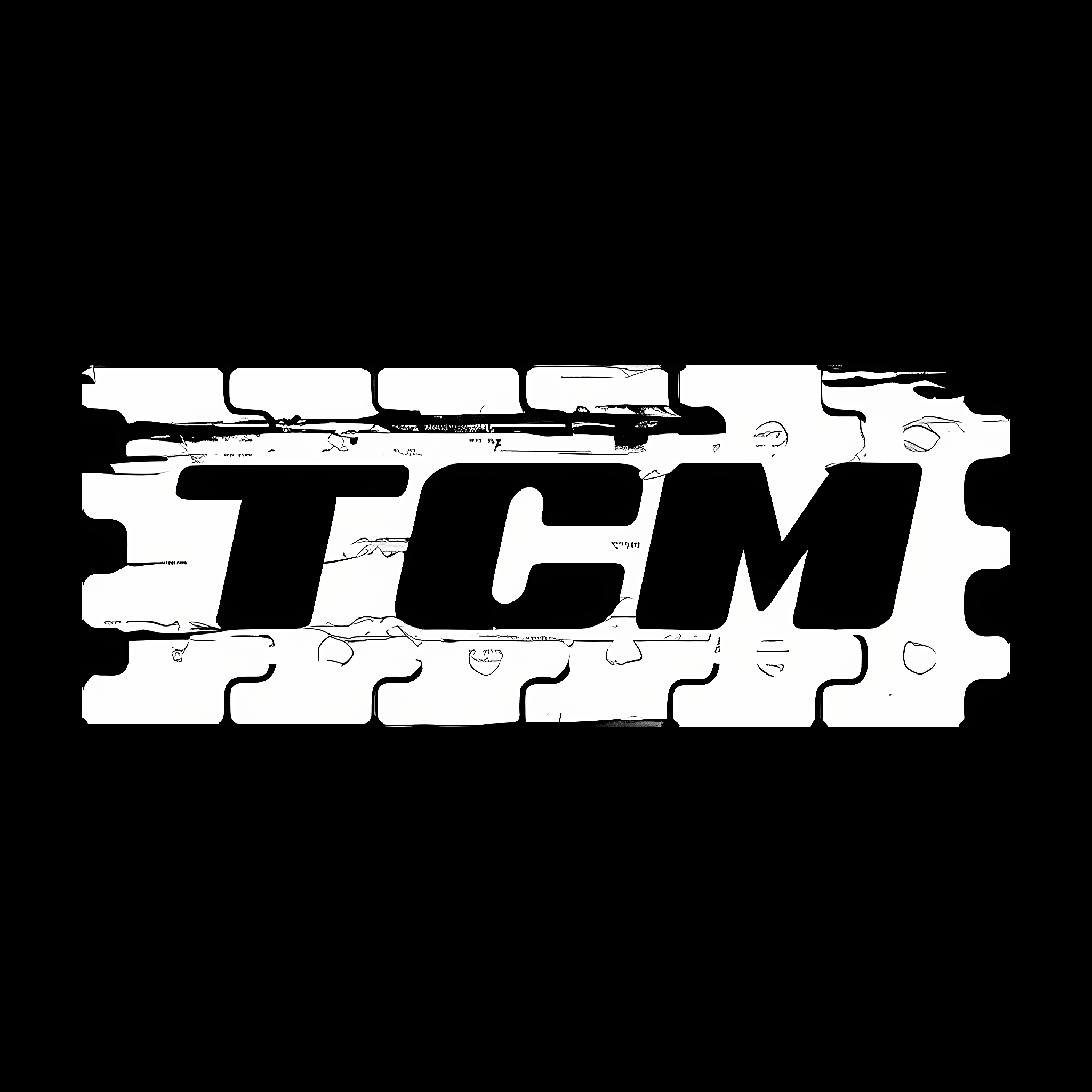 TSM LLC (ТСМ)